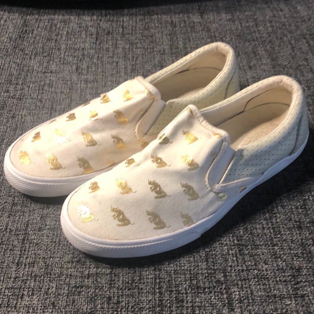 Rhinoceros Slides/ Flats
